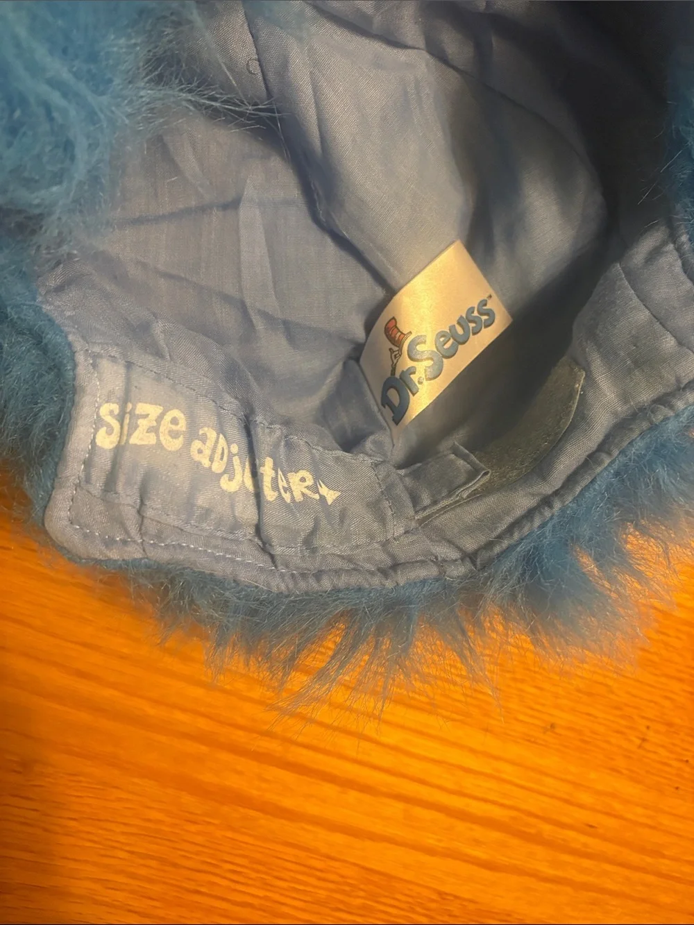 Dr. Seuss Blue Fuzzy Wigs (2)